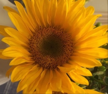 3 ways to feel Lighter this summer